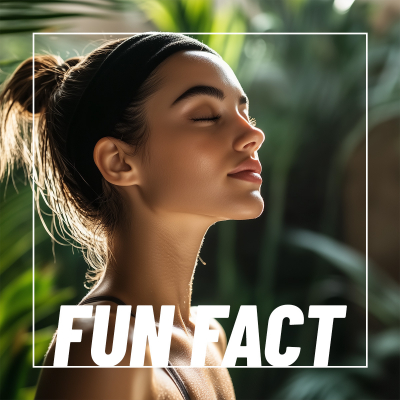 Fun fact skin